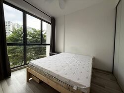 La Fiesta (D19), Condominium #578693831